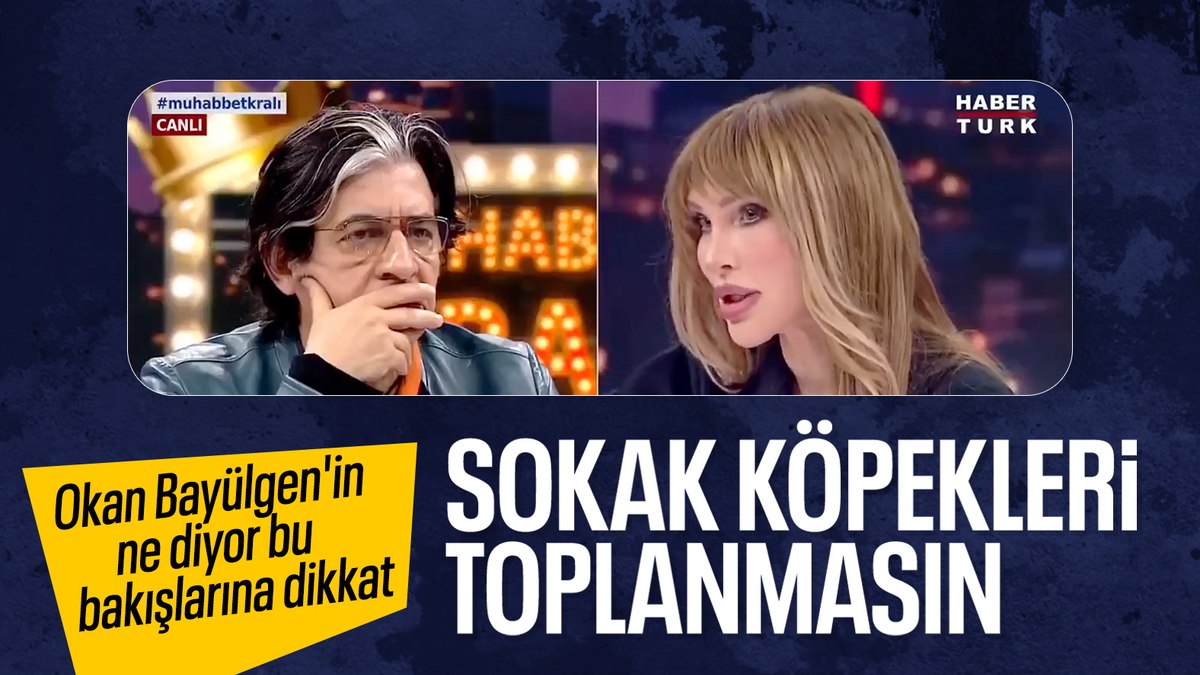 Seren Serengil başıboş köpekleri savundu: Yıllardır bu hayvanlar saldırmadı